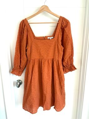 NWT Madewell Puff-Sleeve Waisted Mini Dress In the shade mulled cider Size 2